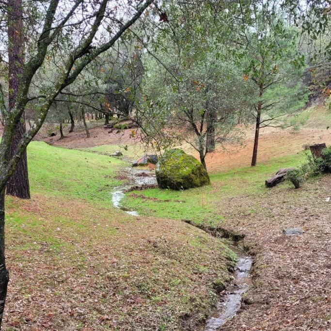 Home In Groveland Near Yosemite Np מראה חיצוני תמונה